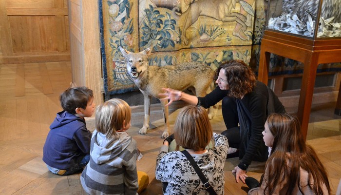 Musée à visiter en famille avec des enfants à Paris 3ème : le musée de la chasse et de la nature