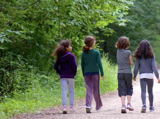 Balade en forêt en famille