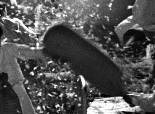 La sélection Paris Mômes de films à voir en famille en VOD avec des enfants : zéro de conduite, à regarder à la maison à partir de 9 ans.