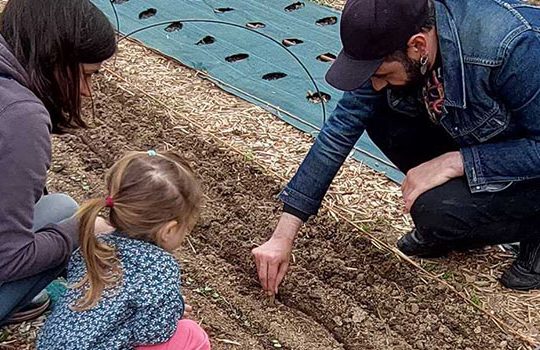 Balade Botanique en famille avec Vile fertile