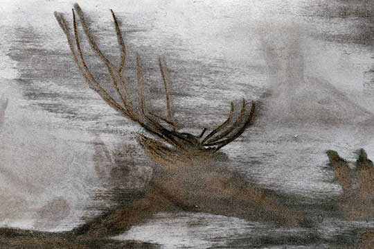 Nuit de chance livre pour enfant