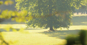 Domaine de Rentilly à visiter en famille à côté de Paris