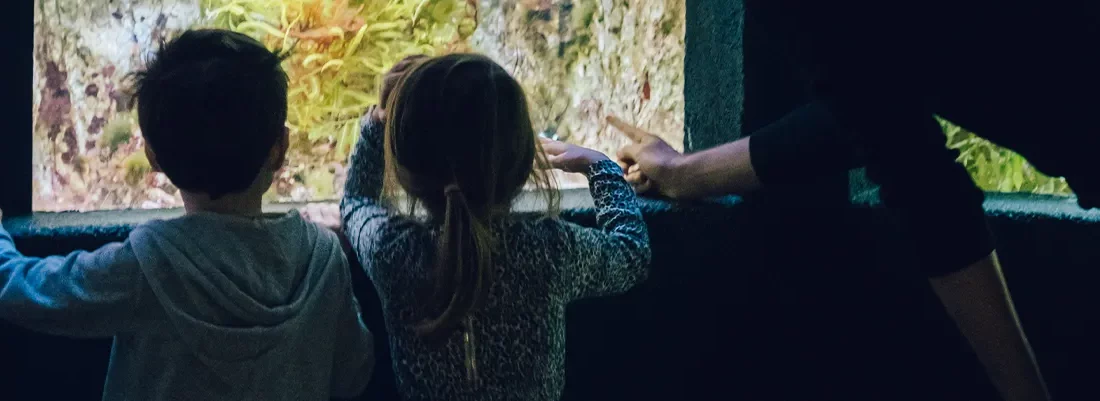 Idée de sortie en famille : visiter l'aquarium tropical de la Porte Dorée avec des enfants dès 2 ans