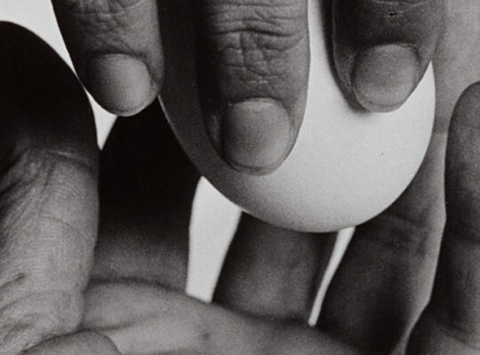 Week end famille au musée Picasso