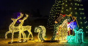 Illumination de Noël à Saint Cloud en famille