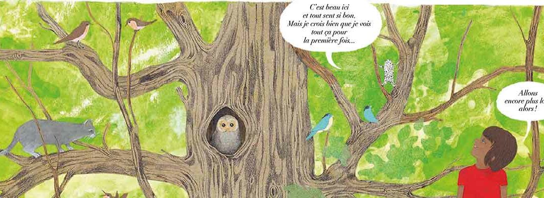 Livre jeunesse pour les enfants dès 5 ans : mon ami coco