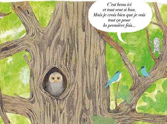 Livre jeunesse pour les enfants dès 5 ans : mon ami coco