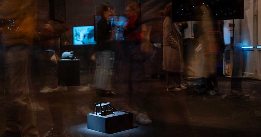 Exposition famille au domaine de Chamarande