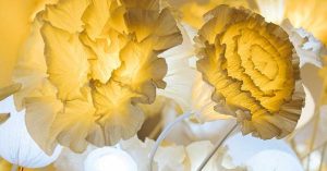 Expo à voir en famille : l'Odyssée de Léa de Junior Fritz Jacquet