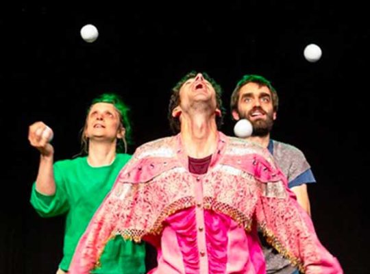Spectacle de cirque à voir en famille