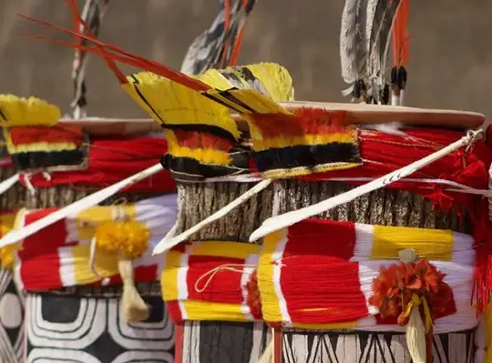 Expo à voir en famille au musée du quai branly avec des enfants dès 10 ans : Amazônia