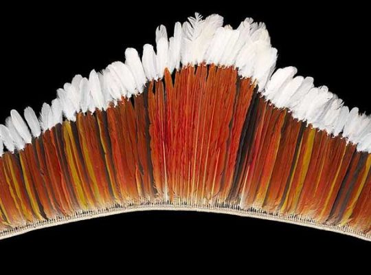 atelier famille au quai Branly