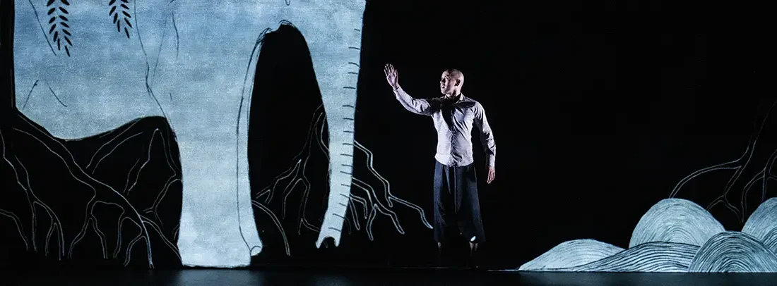 Spectacle à voir en famille au théâtre de l'agora : Chotto Desh