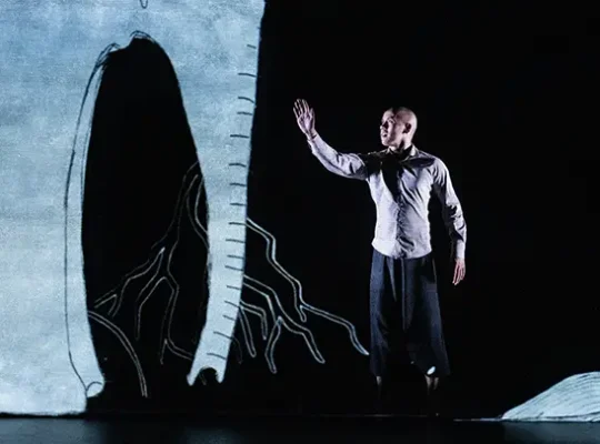 Spectacle à voir en famille au théâtre de l'agora : Chotto Desh