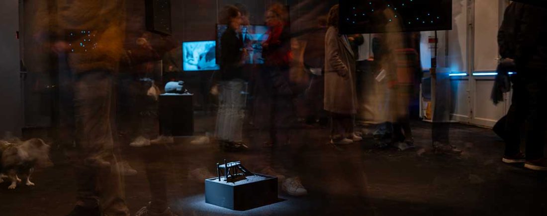 Exposition famille au domaine de Chamarande