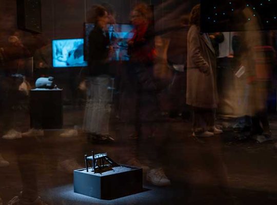 Exposition famille au domaine de Chamarande