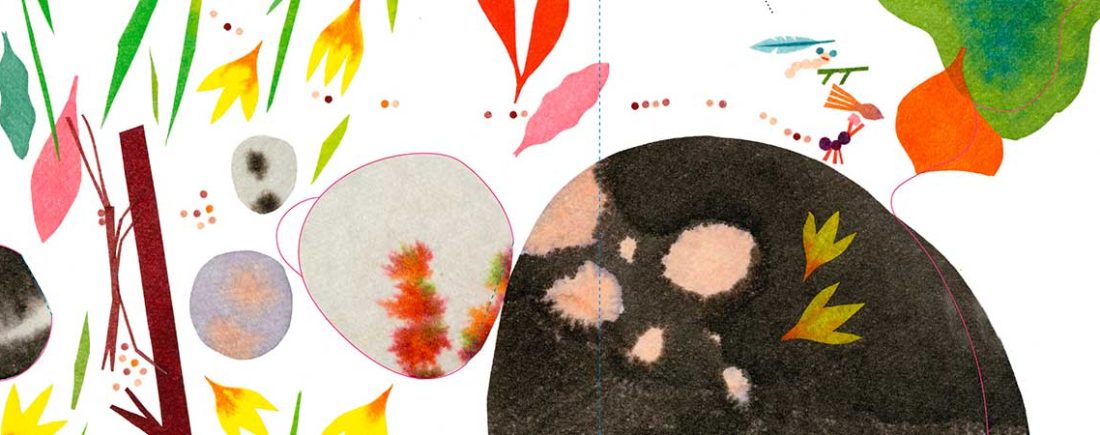 Livre pour les enfants