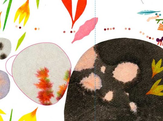 Livre pour les enfants