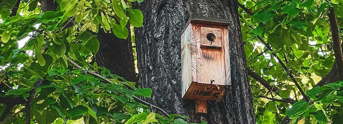 Atelier parents enfants pendant les vacances
