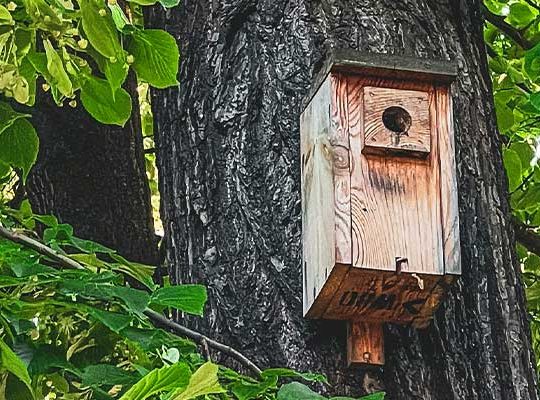 Atelier parents enfants pendant les vacances