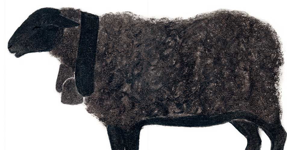 Livre pour les tout petits