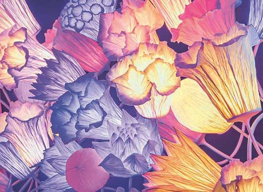 Exposition à voir en famille à Paris avec des enfants dès 8 ans : Jardiner à la cité des sciences et de l'industrie