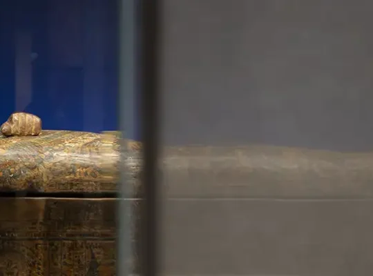 Exposition à voir en famille avec des enfants dès 9 ans : Momies, au Musée de l'Homme