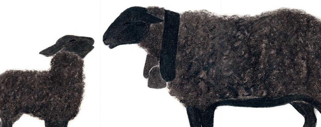 Livre pour les tout petits