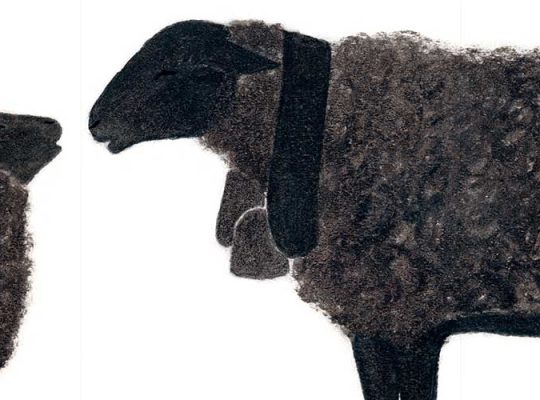 Livre pour les tout petits