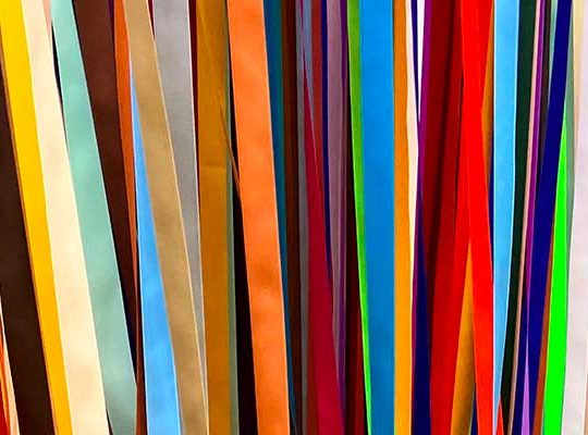 Visite en famille à l'institut suédois