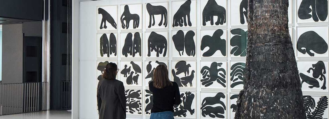 Exposition fondation cartier pour les familles